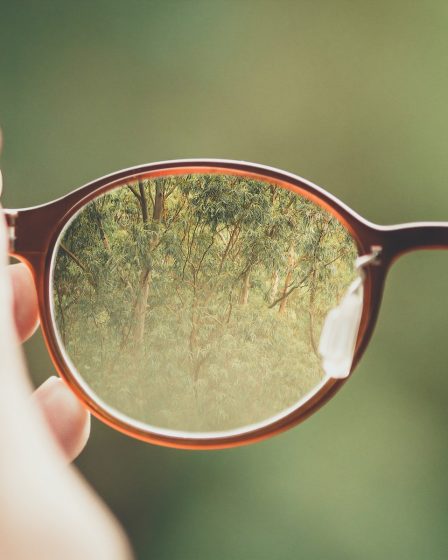 person holding brown eyeglasses with green trees background